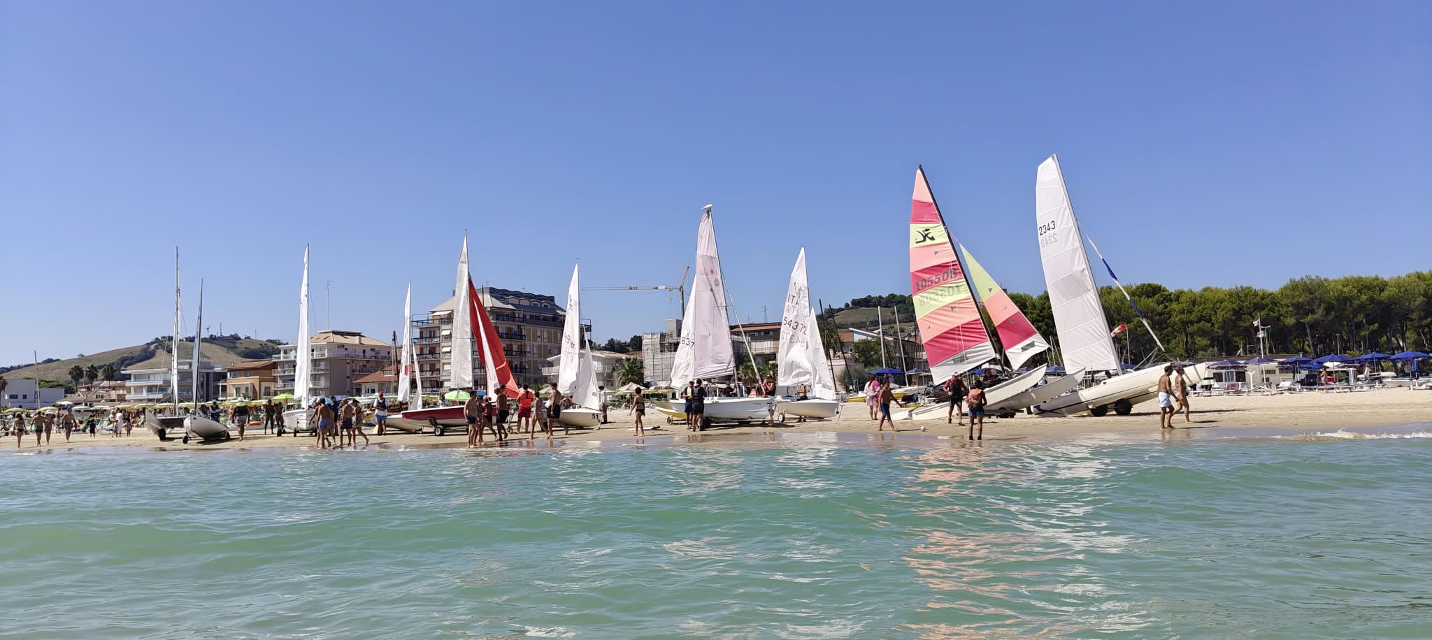 Regata sociale anno 2026